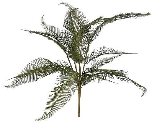 RAMO PHOENIX PALM CM.D33X60H VERDE