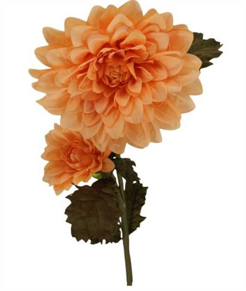 DAHLIA CM.100H PESCA