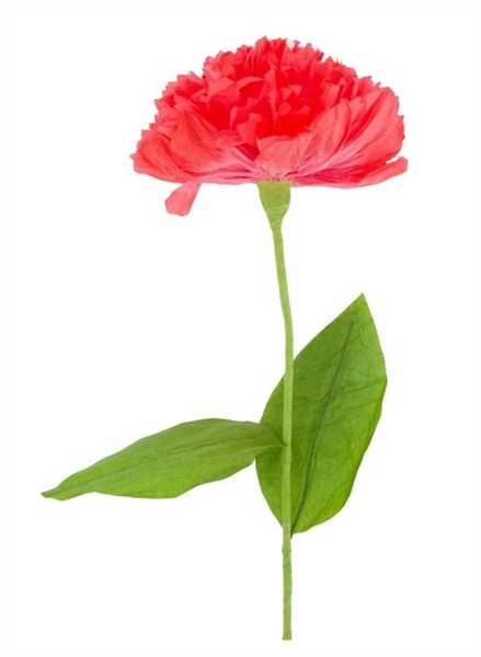 FIORE DI CARTA CM.18X78H ROSA