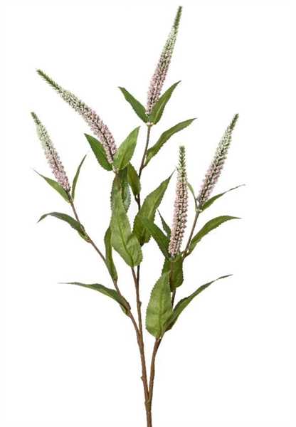SPRAY SALVIA POLYESTER 70CM SINGLE SALVIA X 5 HEADS SOFT PIN