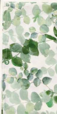 STROFINACCIO EUCALIPTO FLORA CM.50x70