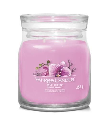 SIGNATURE GIARA MEDIA WILD ORCHID