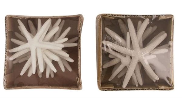 CONFEZIONE STELLE MARINE ASSORTITE 2 COLORI GRIGIO/BIANCO