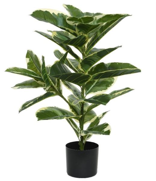 PIANTA IN VASO CM.D61X76H VERDE