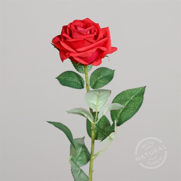ROSA NATURAL TOUCH CM.63H ROSSO