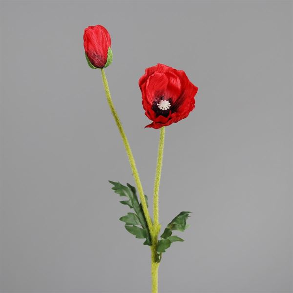 PAPAVERO CON BOCCIOLO CM.62H ROSSO