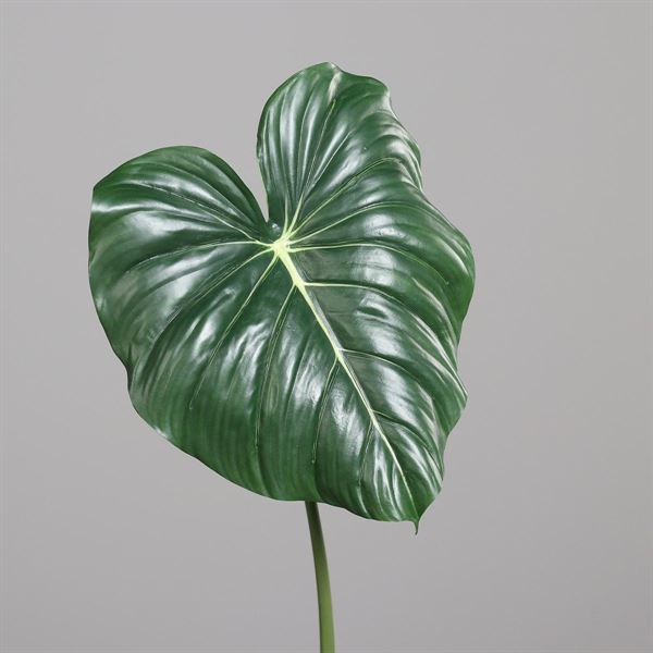 FOGLIA D'ELEFANTE CM.85H