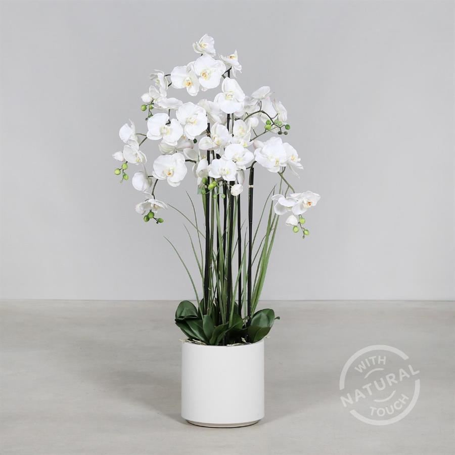 ORCHIDEA IN VASO CM.120H BIANCO
