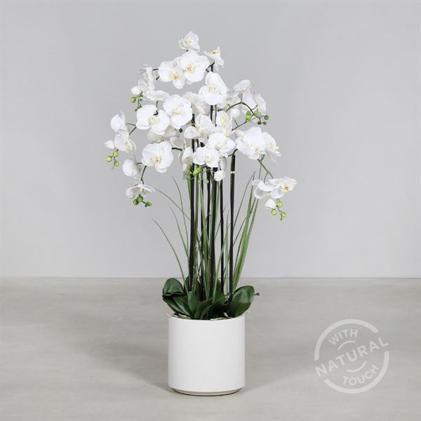 ORCHIDEA IN VASO CM.120H BIANCO