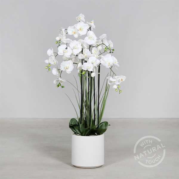 ORCHIDEA IN VASO CM.120H BIANCO