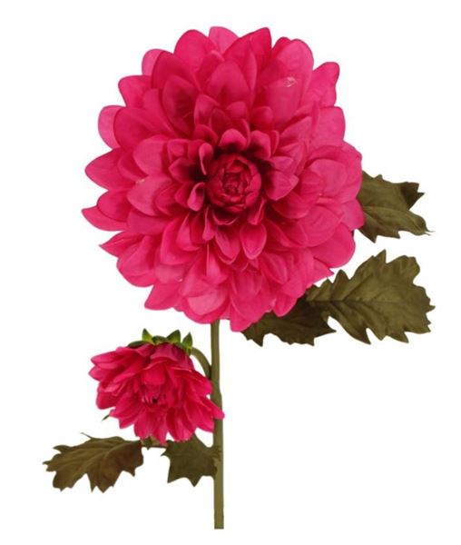 DAHLIA CM.100H FUCHSIA