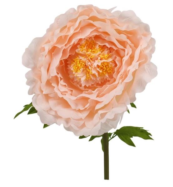 PEONIA XXL CM.40X135H PESCA