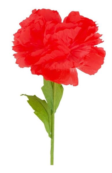 FIORE DI CARTA CM.20X58H ROSSO
