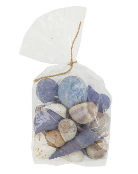 CONFEZIONE MIX CONCHIGLIE CM.10X5X16H BLU/NATURALE