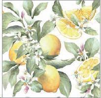 CONF.20 TOVAGLIOLI LIMONI  CM.33X33