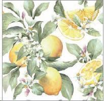CONF.20 TOVAGLIOLI LIMONI  CM.33X33