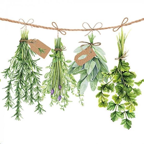 CONFEZIONE 20 TOVAGLIOLI ERBE FRESCHE CM.33X33