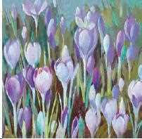 CONF.20 TOVAGLIOLI CROCUS  CM.33X33