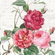 CONF.20 TOVAGLIOLI AMBER  CM.33X33