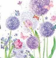 CONF.20 TOVAGLIOLI FLOWER BEAUTY  CM.33X33