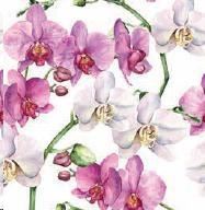 CONF.20 TOVAGLIOLI ELEGANT ORCHIDS WHITE  CM.33X33