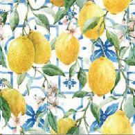 CONF.20 TOVAGLIOLI MEDITERRANEAN LEMONS  CM.33X33