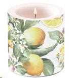 CANDELA PICCOLA LIMONI D.7,5 H.9