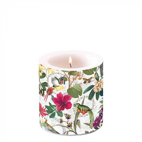 CANDELA PICCOLA GIUNGLA TROPICALE D.7,5 H.9