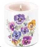 CANDELA PICCOLA PANSIES D.7,5 H.9