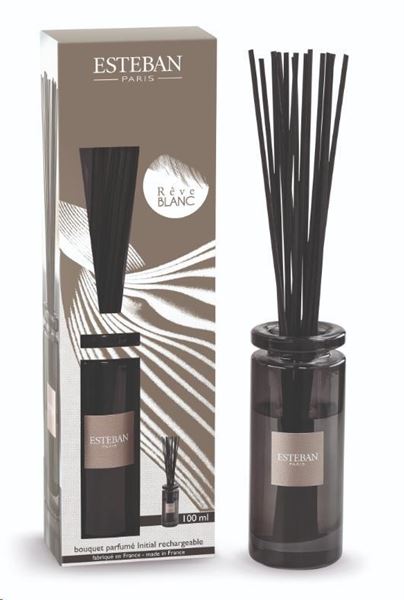 BOUQUET PROFUMATO INITIAL CON RICARICA 100ML REVE BLANC