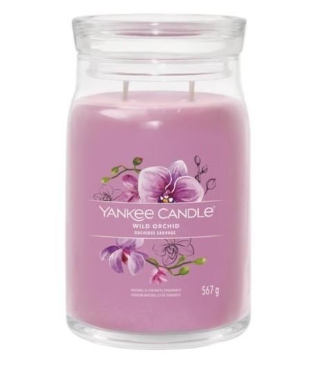 SIGNATURE GIARA GRANDE WILD ORCHID