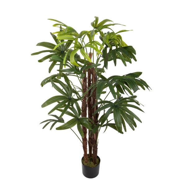 RAPHIS PALM X 3 120 CM. 27 FGL IN VASO