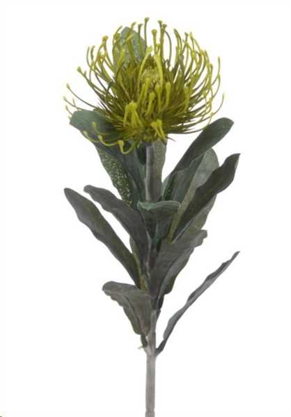 PROTEA 14 FOGLIE CM.67H VERDE