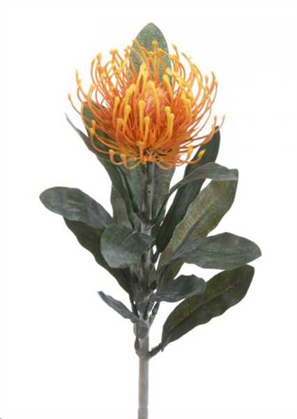 PROTEA 14 FOGLIE CM.67H ARANCIONE