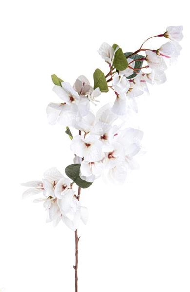 BOUGANVILLE CM.80H BIANCO