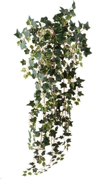 EDERA PENDENTE 498 FOGLIE CM.90H VERDE