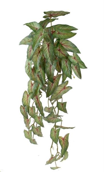 PENDENTE CALADIUM 58 FOGLIE CM.80H VERDE/ROSSO