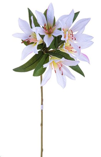 LILY PERUVIANO CM.64H BIANCO