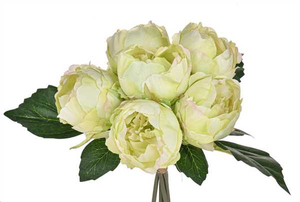 MAZZO PEONIE X6 CM.28H VERDE
