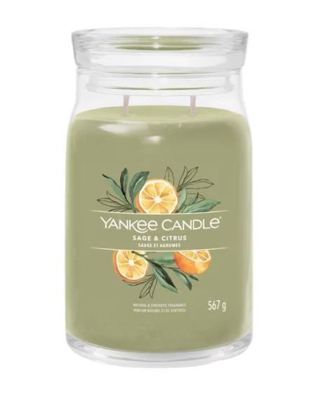 SIGNATURE GIARA GRANDE SAGE CITRUS