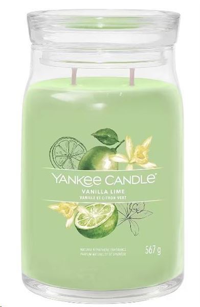 SIGNATURE GIARA GRANDE VANILLA LIME