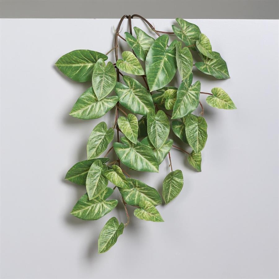 RAMO DI CALADIUM CM.55H VERDE/GIALLO