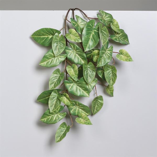 RAMO DI CALADIUM CM.55H VERDE/GIALLO