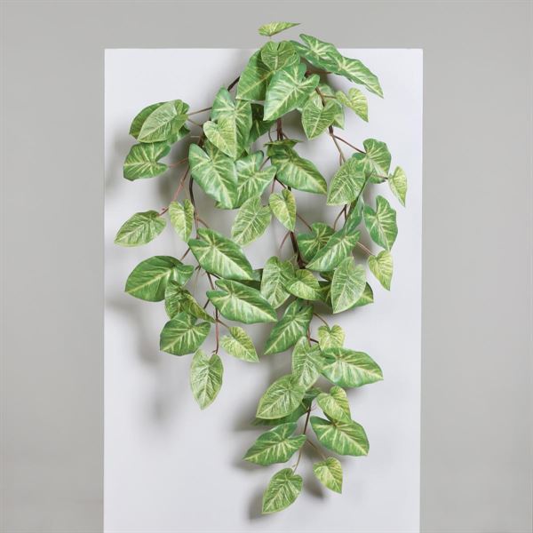 RAMOSCELLO DI CALADIUM CM.75H VERDE/GIALLO