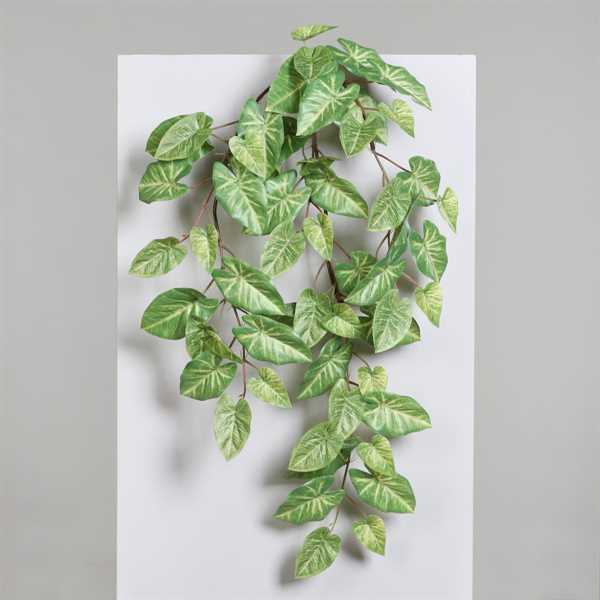 RAMOSCELLO DI CALADIUM CM.75H VERDE/GIALLO