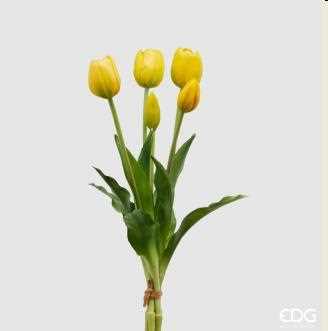 TULIPANO GOMM.OLIS MZ5PZH40(CHIUSI)C0 YELLOW