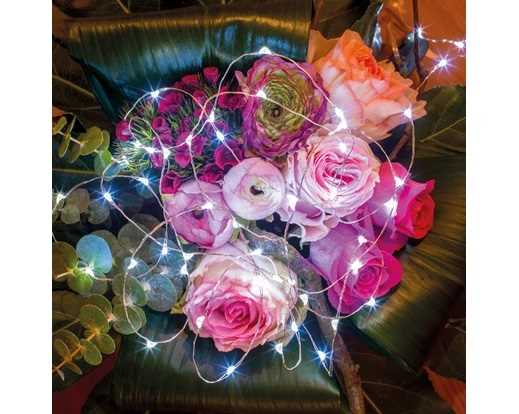 MICROLED A BATTERIA 60LED L.FREDDA 3MT FILO SILVER TIMER 6H