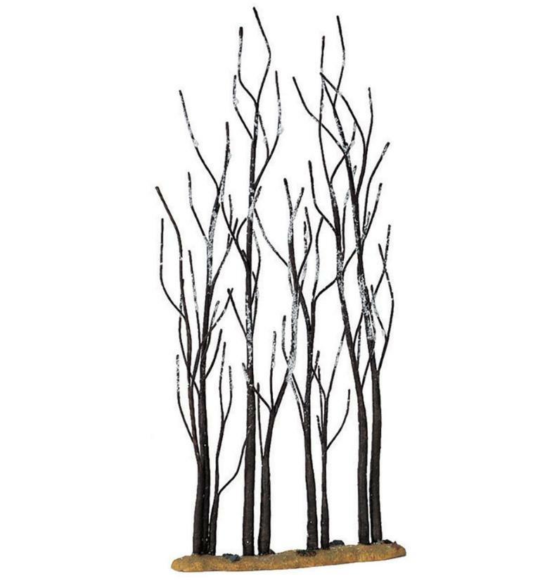 STAND OF SYCAMORE
