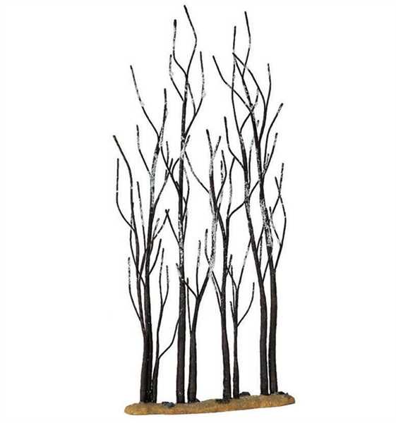 STAND OF SYCAMORE