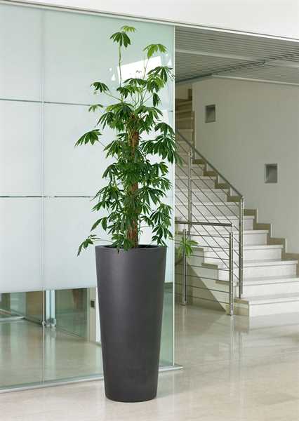 VASO ALTO DA ESTERNO TONDO IN RESINA ILIE NERO CM.Ø37XH75